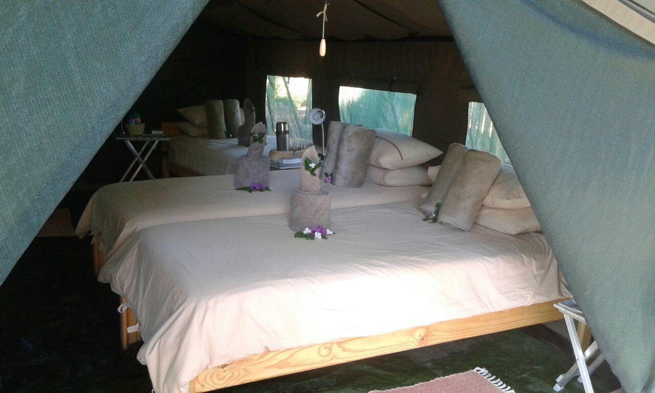 Vila Epupa Camp Exteriér fotografie